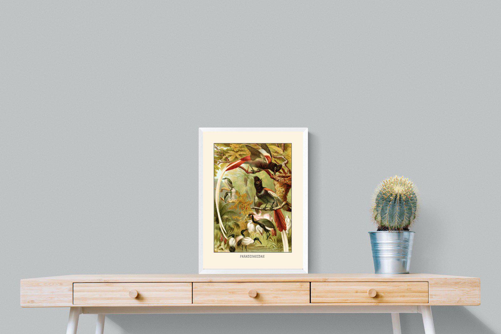 Paradise Flycatchers Etching-Wall_Art-45 x 60cm-Mounted Canvas-White-Pixalot
