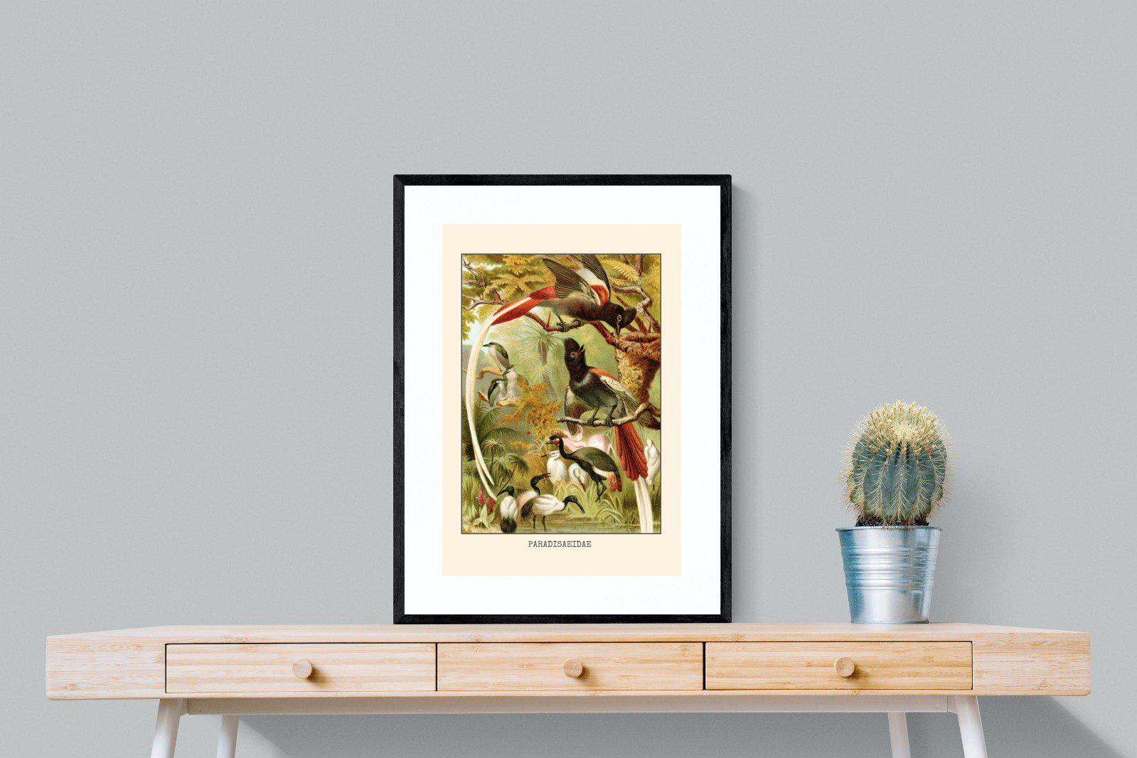 Paradise Flycatchers Etching-Wall_Art-60 x 80cm-Framed Print-Black-Pixalot