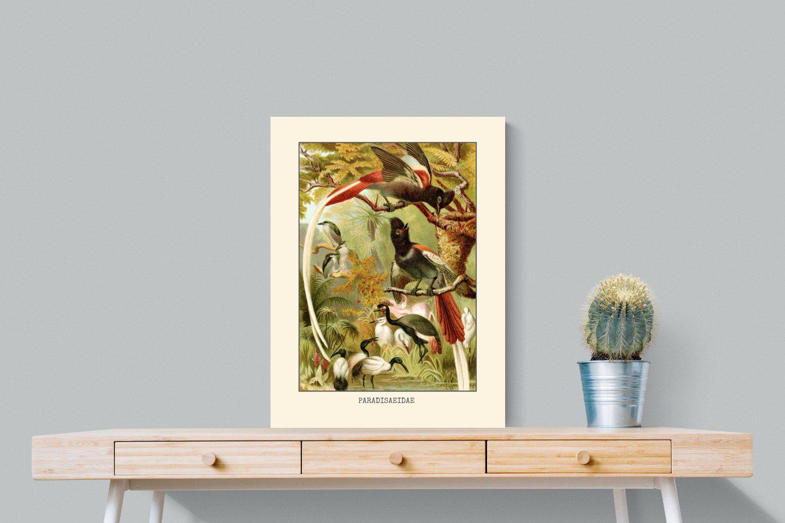 Paradise Flycatchers Etching-Wall_Art-60 x 80cm-Mounted Canvas-No Frame-Pixalot