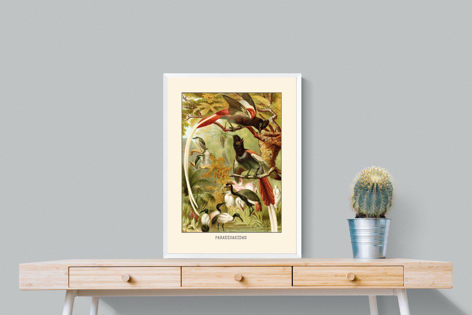 Paradise Flycatchers Etching-Wall_Art-60 x 80cm-Mounted Canvas-White-Pixalot