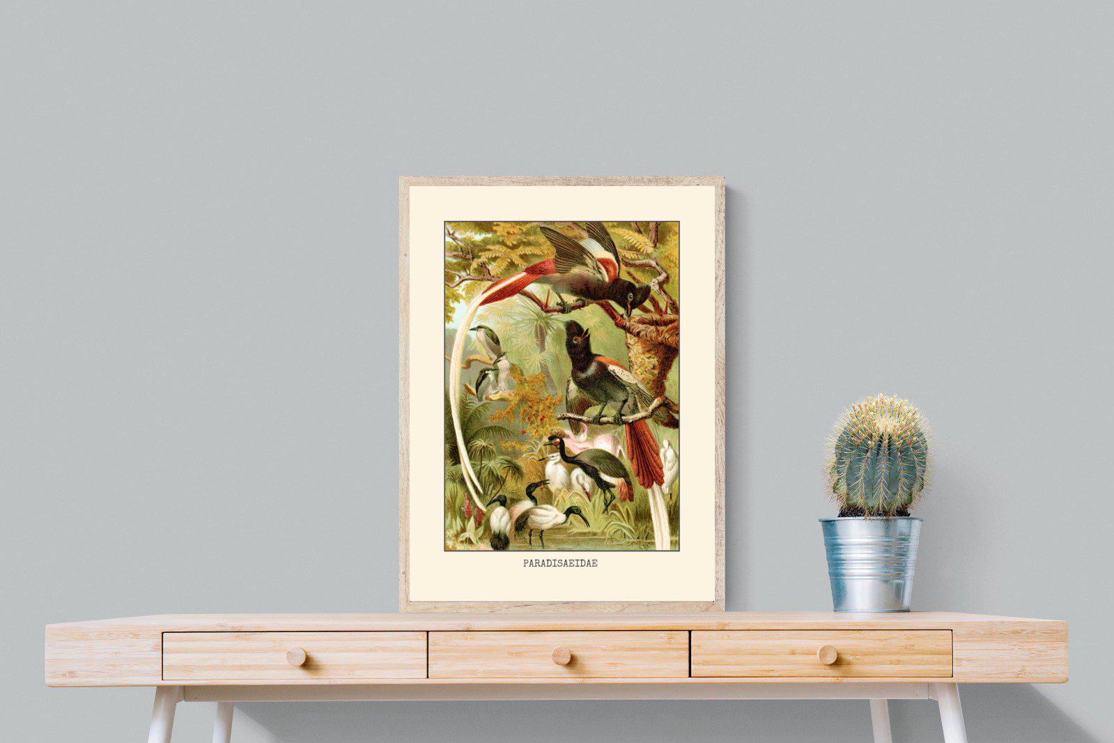 Paradise Flycatchers Etching-Wall_Art-60 x 80cm-Mounted Canvas-Wood-Pixalot