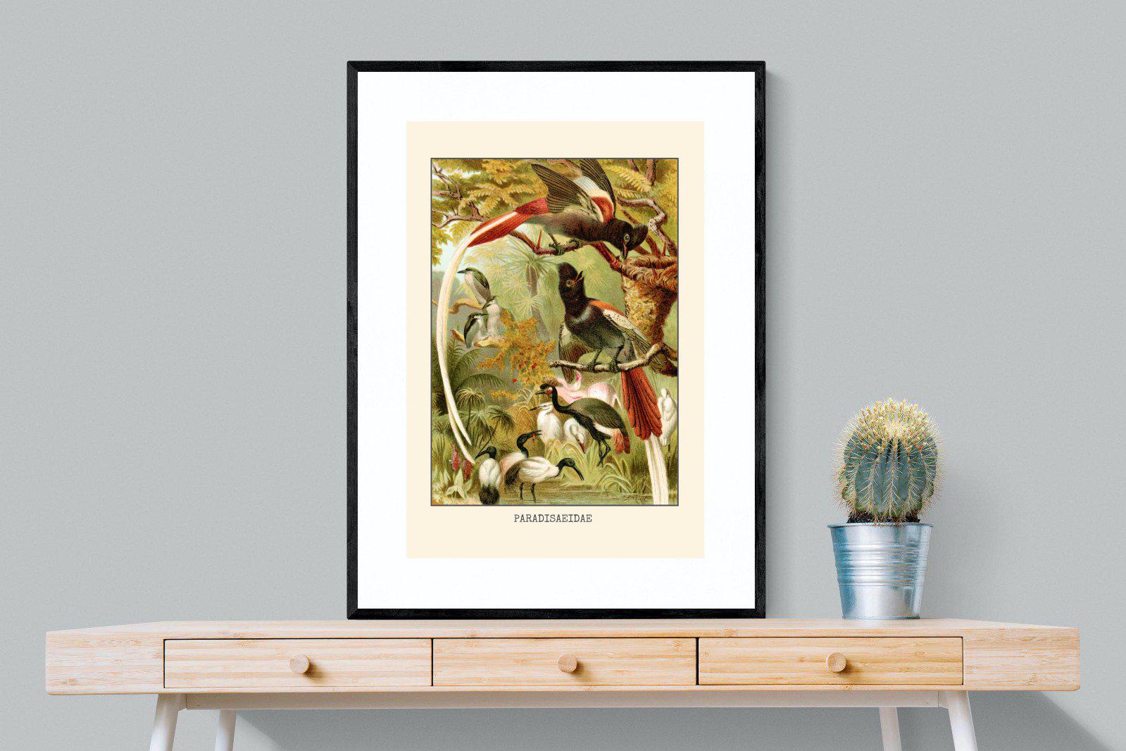 Paradise Flycatchers Etching-Wall_Art-75 x 100cm-Framed Print-Black-Pixalot