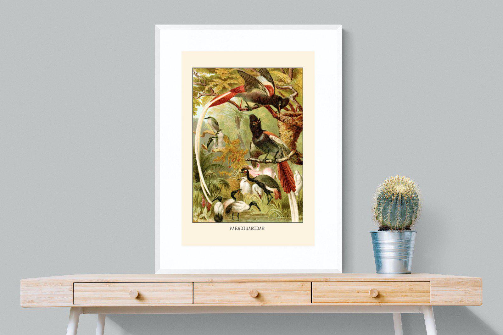 Paradise Flycatchers Etching-Wall_Art-75 x 100cm-Framed Print-White-Pixalot