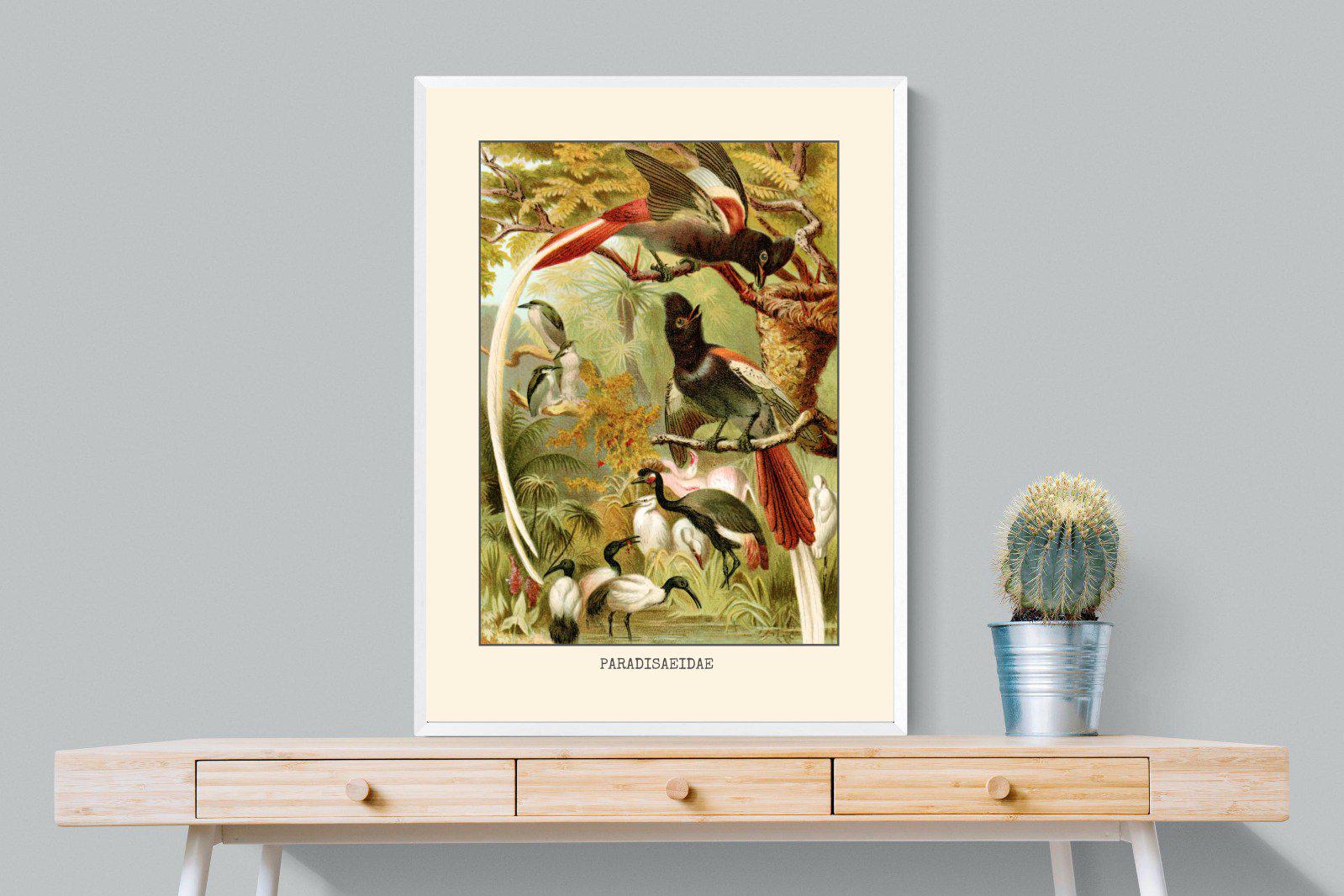 Paradise Flycatchers Etching-Wall_Art-75 x 100cm-Mounted Canvas-White-Pixalot