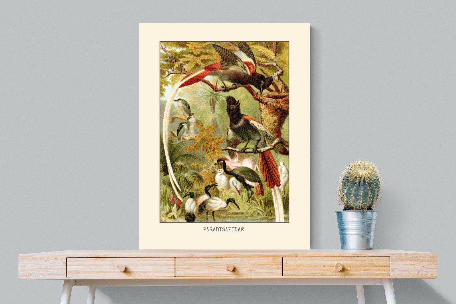 Paradise Flycatchers Etching-Wall_Art-75 x 100cm-Mounted Canvas-No Frame-Pixalot