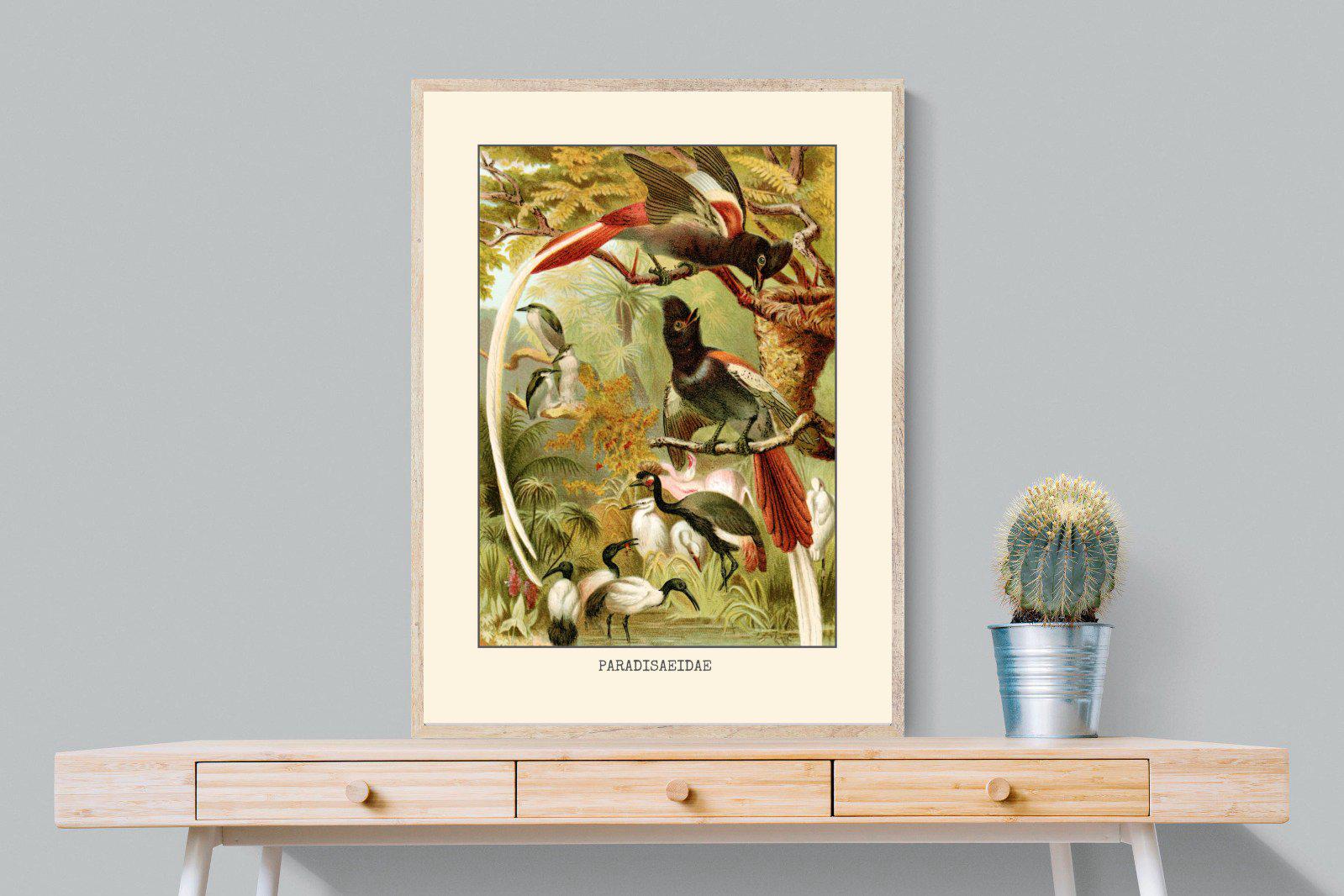 Paradise Flycatchers Etching-Wall_Art-75 x 100cm-Mounted Canvas-Wood-Pixalot