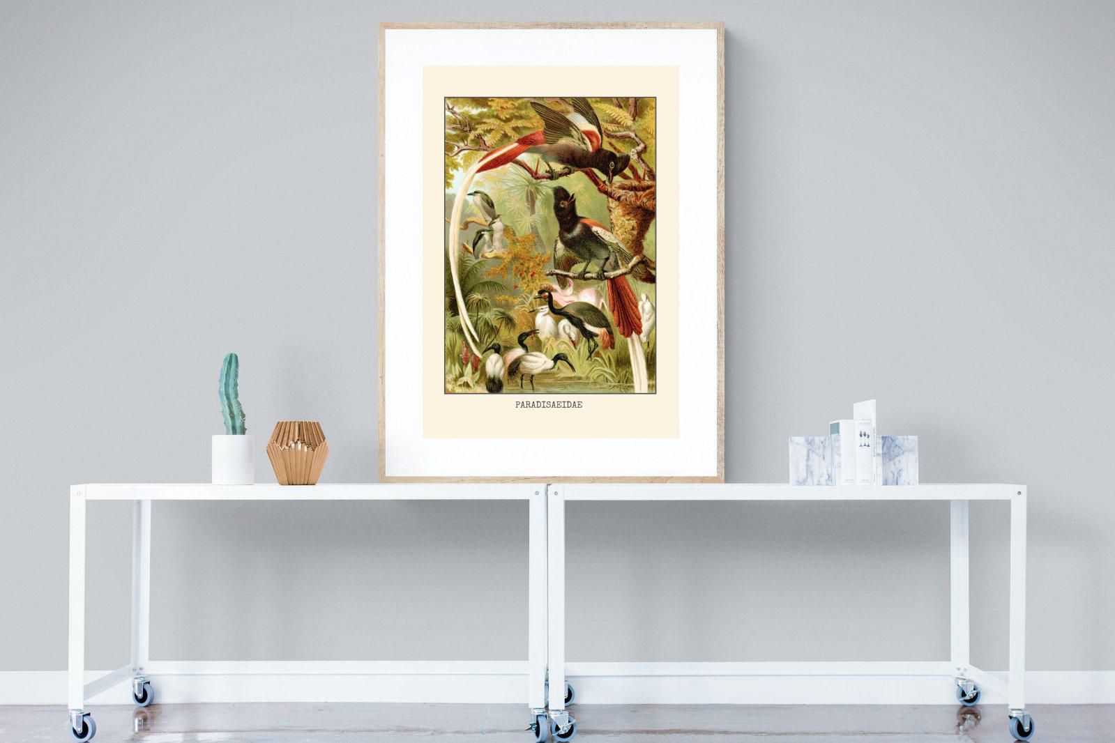 Paradise Flycatchers Etching-Wall_Art-90 x 120cm-Framed Print-Wood-Pixalot