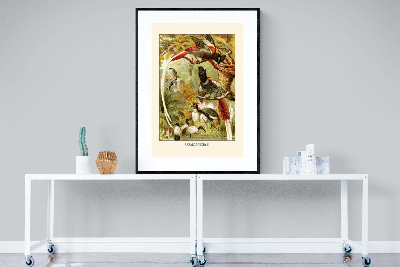 Paradise Flycatchers Etching-Wall_Art-90 x 120cm-Framed Print-Black-Pixalot