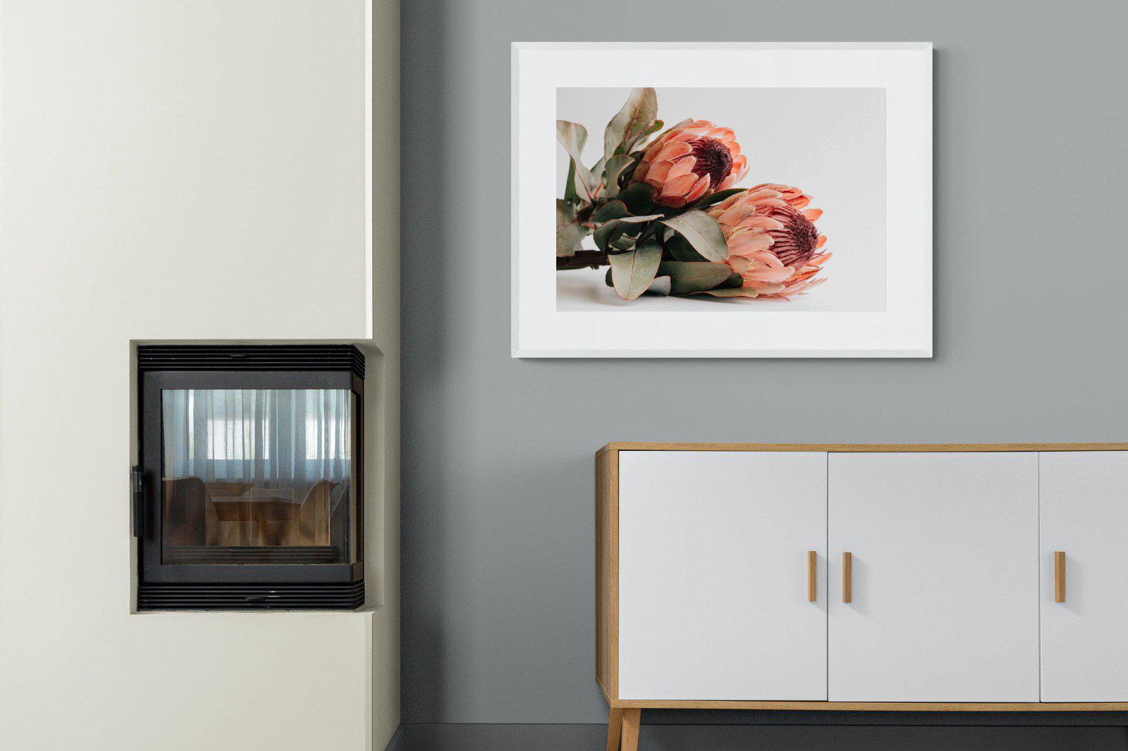Peachy Proteas-Wall_Art-100 x 75cm-Framed Print-White-Pixalot