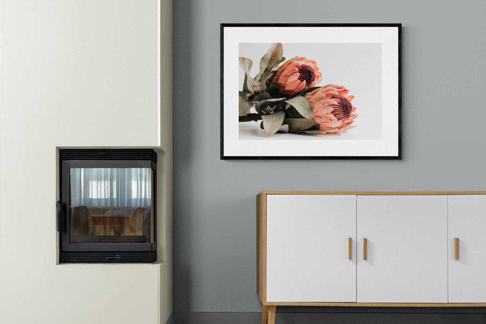 Peachy Proteas-Wall_Art-100 x 75cm-Framed Print-Black-Pixalot