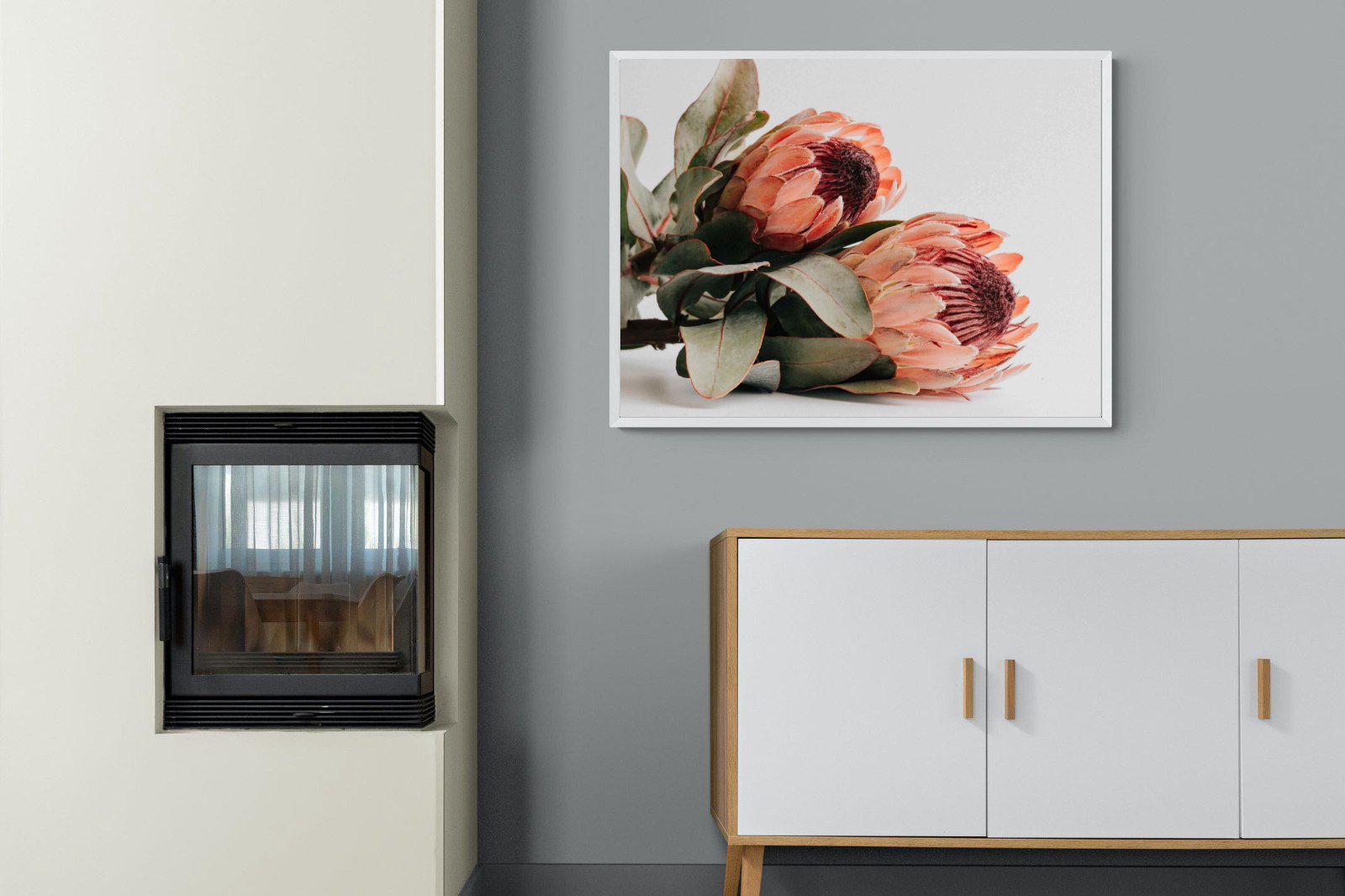 Peachy Proteas-Wall_Art-100 x 75cm-Mounted Canvas-White-Pixalot