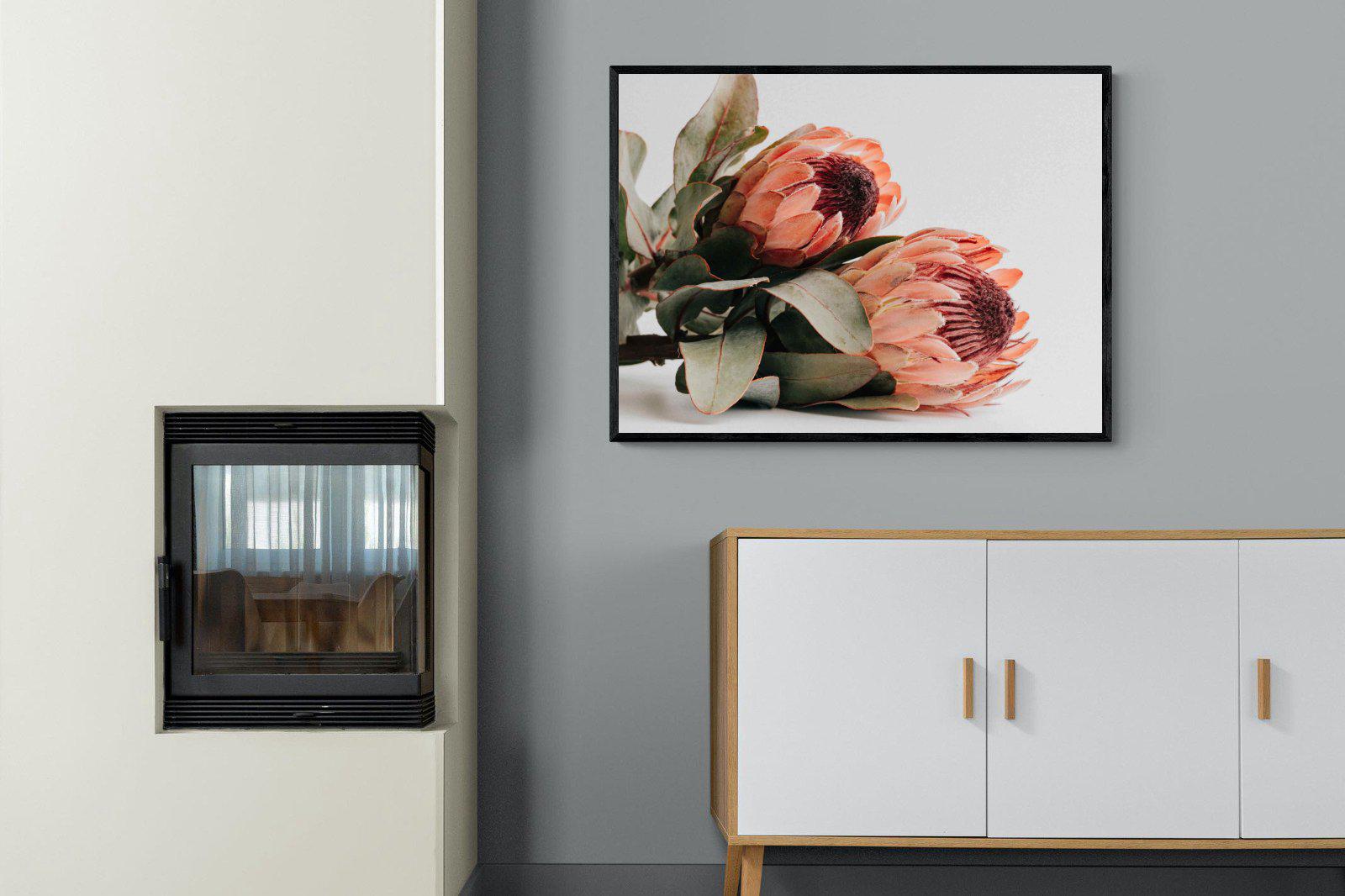 Peachy Proteas-Wall_Art-100 x 75cm-Mounted Canvas-Black-Pixalot