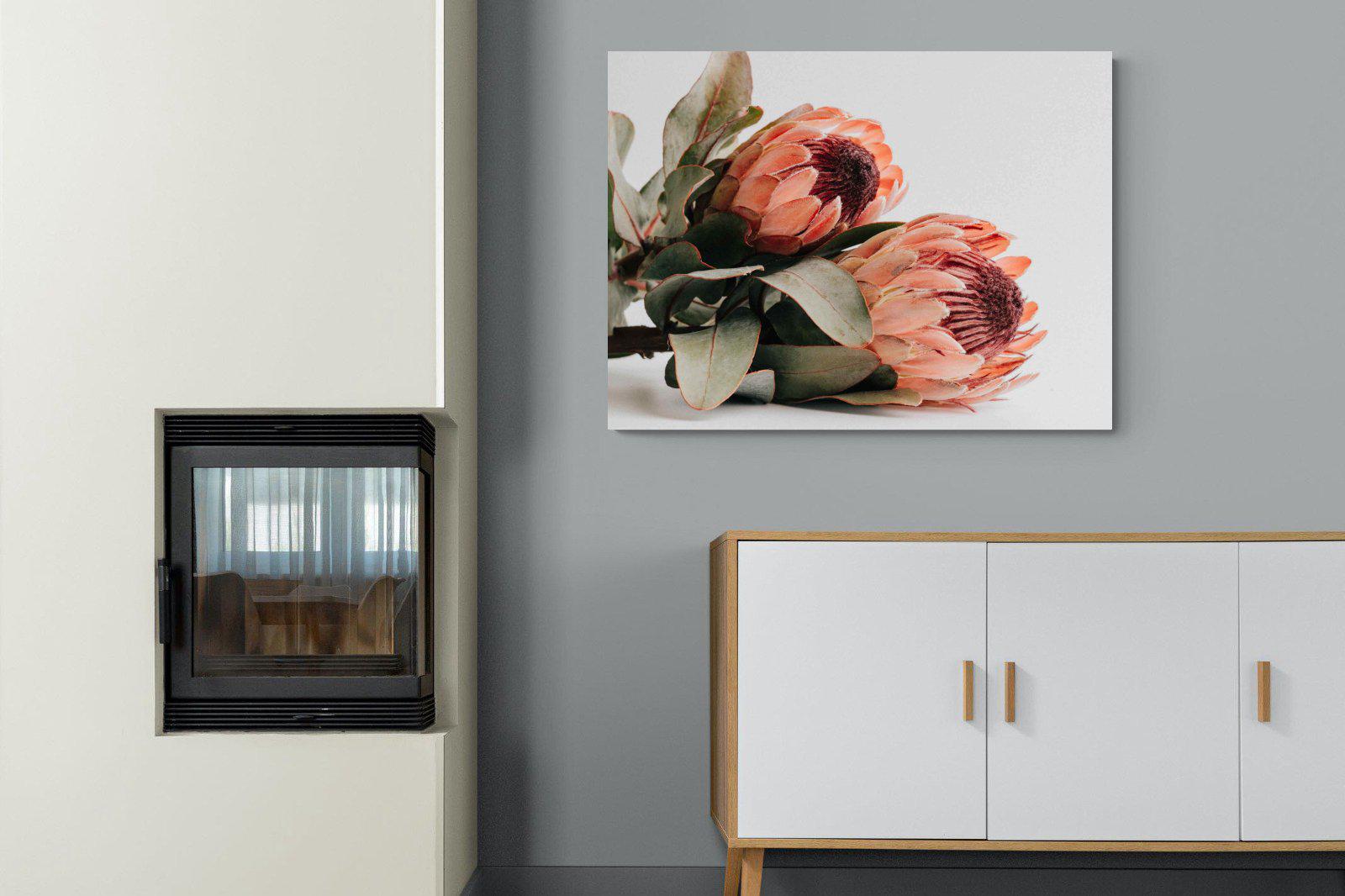Peachy Proteas-Wall_Art-100 x 75cm-Mounted Canvas-No Frame-Pixalot