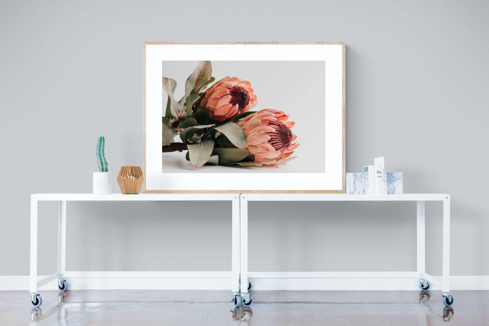 Peachy Proteas-Wall_Art-120 x 90cm-Framed Print-Wood-Pixalot