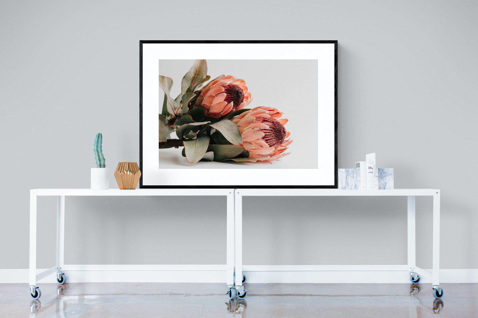 Peachy Proteas-Wall_Art-120 x 90cm-Framed Print-Black-Pixalot