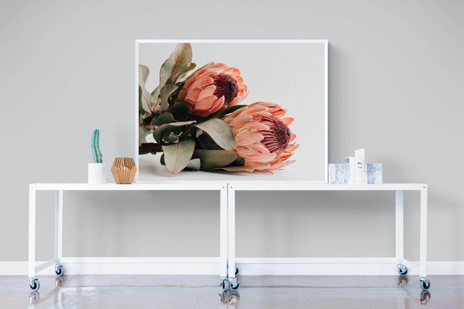 Peachy Proteas-Wall_Art-120 x 90cm-Mounted Canvas-White-Pixalot