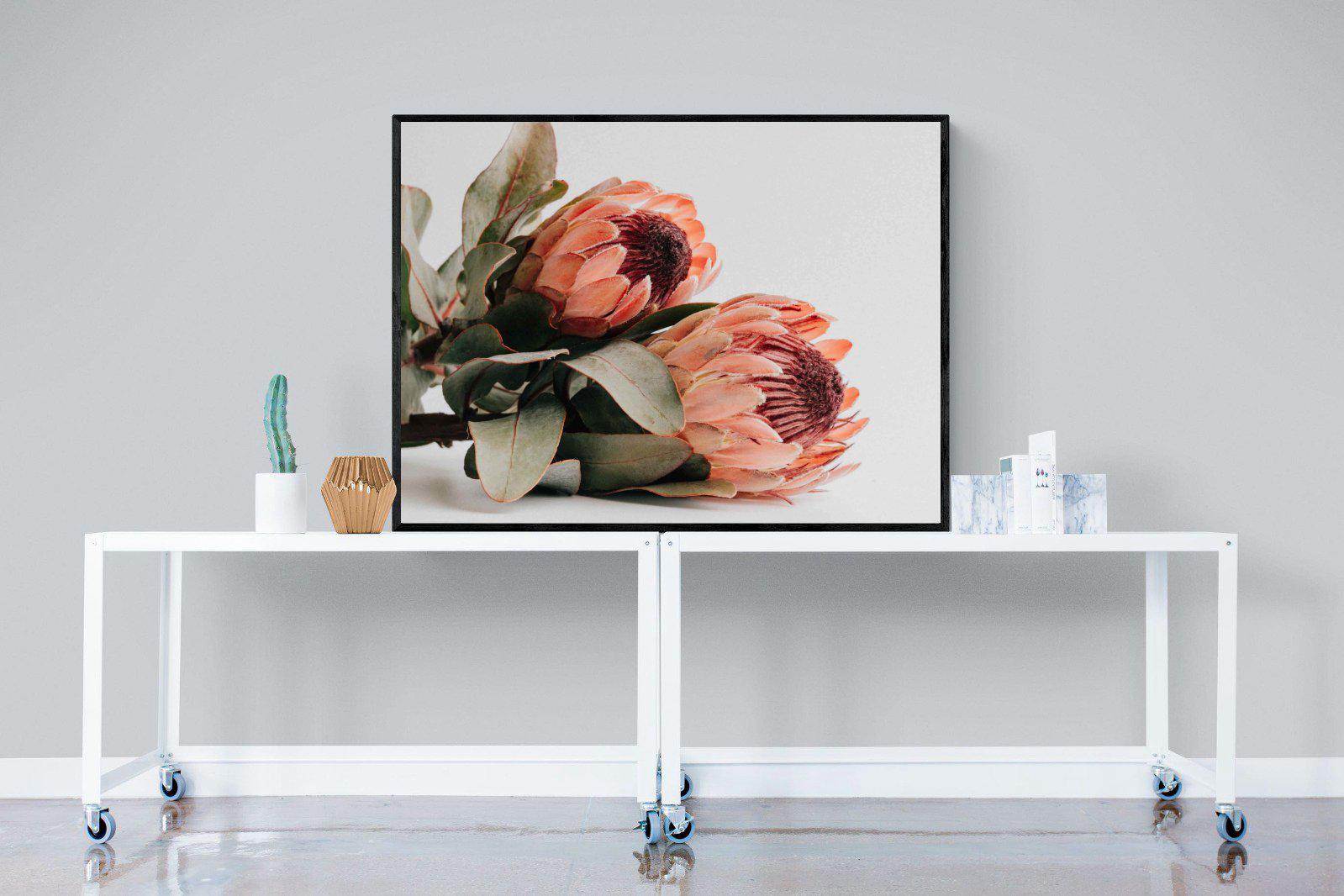 Peachy Proteas-Wall_Art-120 x 90cm-Mounted Canvas-Black-Pixalot