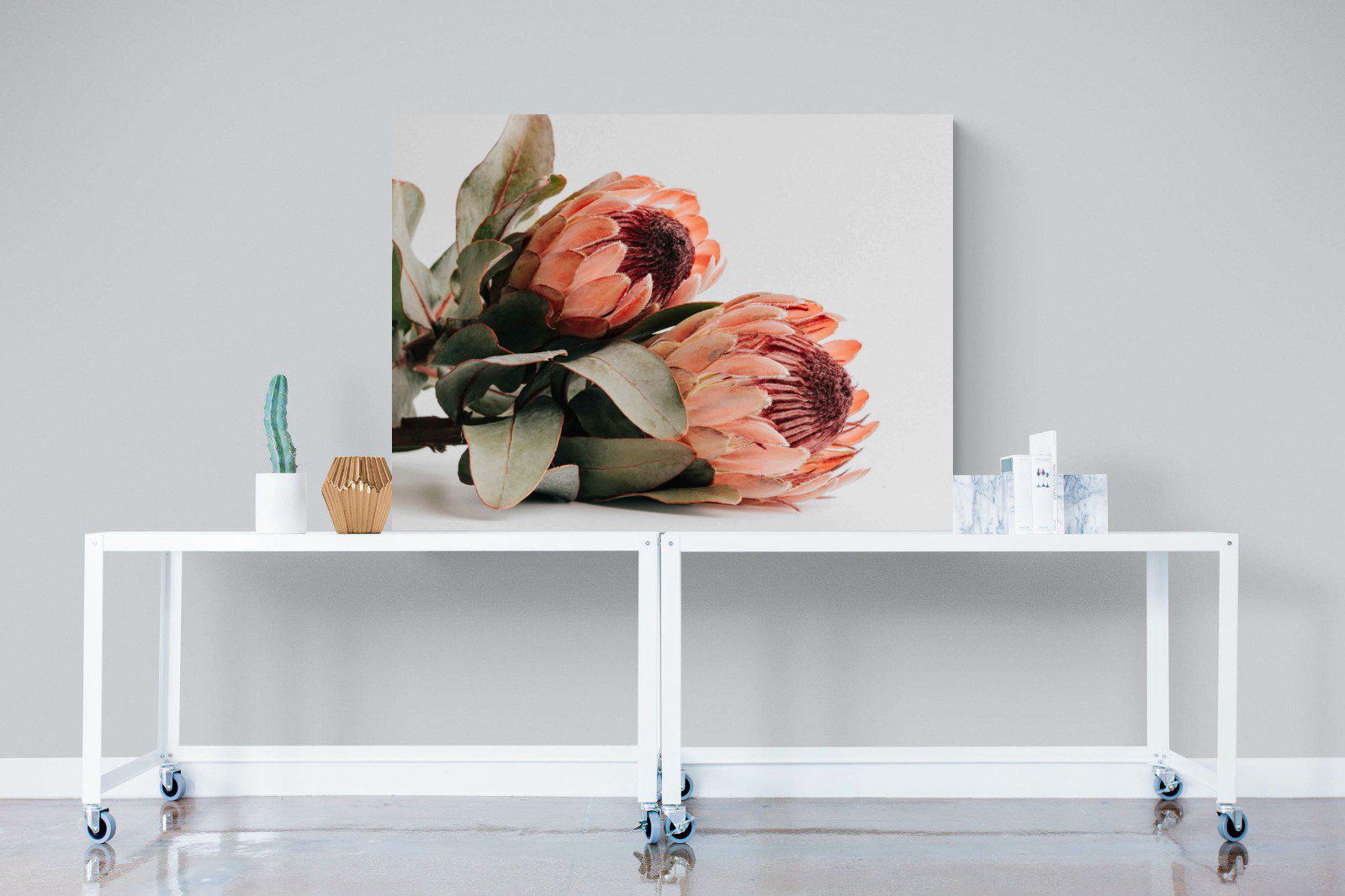 Peachy Proteas-Wall_Art-120 x 90cm-Mounted Canvas-No Frame-Pixalot