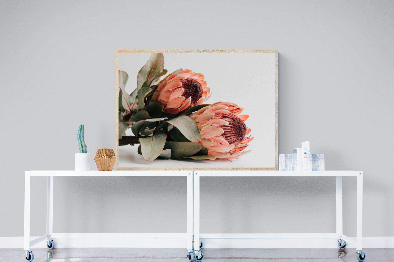 Peachy Proteas-Wall_Art-120 x 90cm-Mounted Canvas-Wood-Pixalot