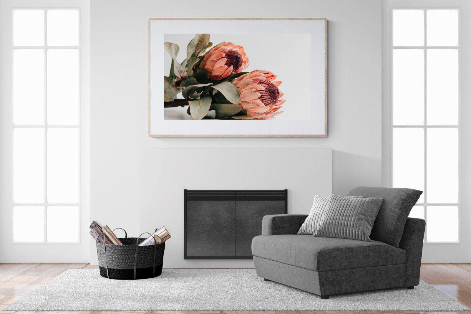 Peachy Proteas-Wall_Art-150 x 100cm-Framed Print-Wood-Pixalot