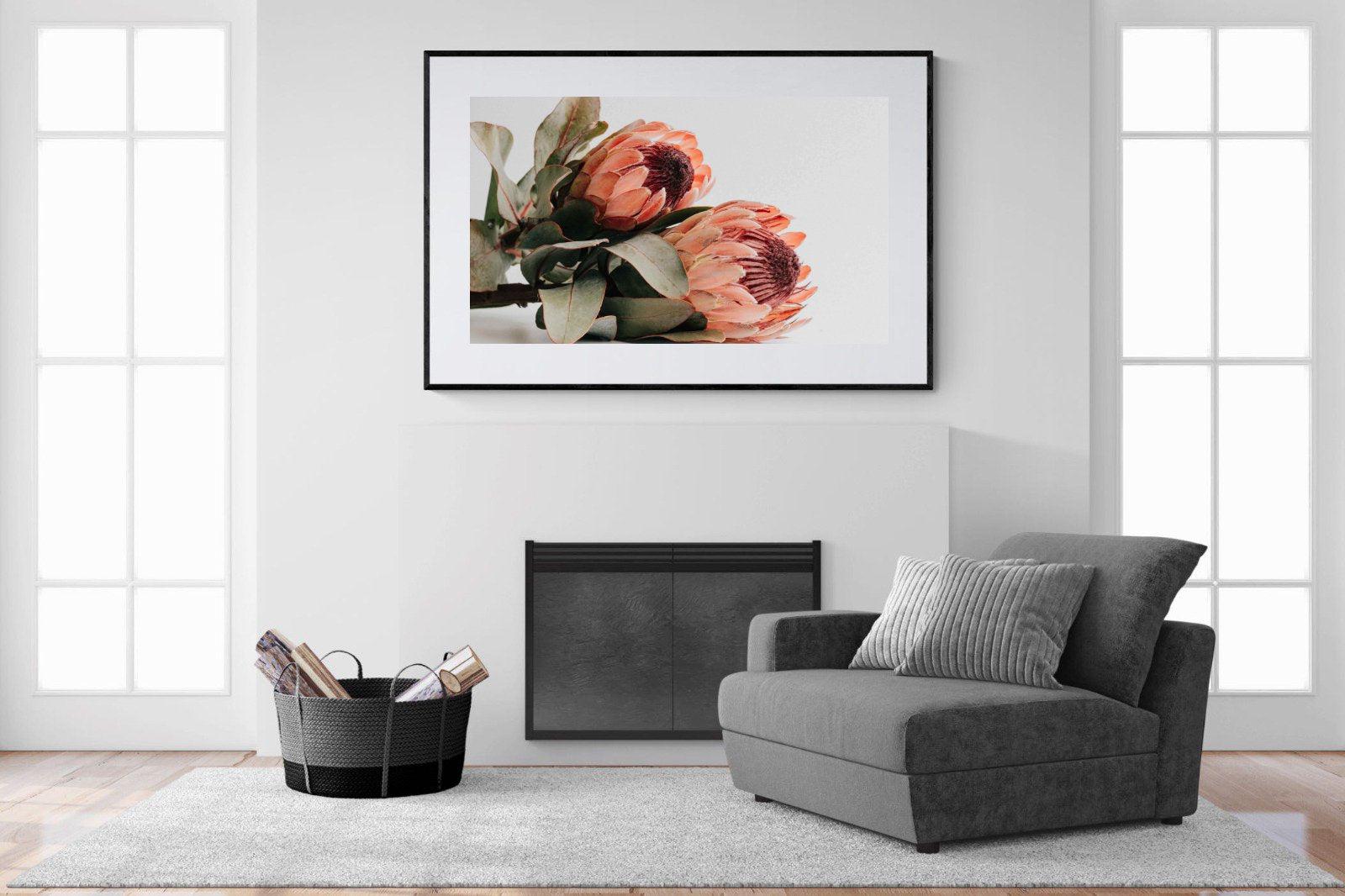 Peachy Proteas-Wall_Art-150 x 100cm-Framed Print-Black-Pixalot