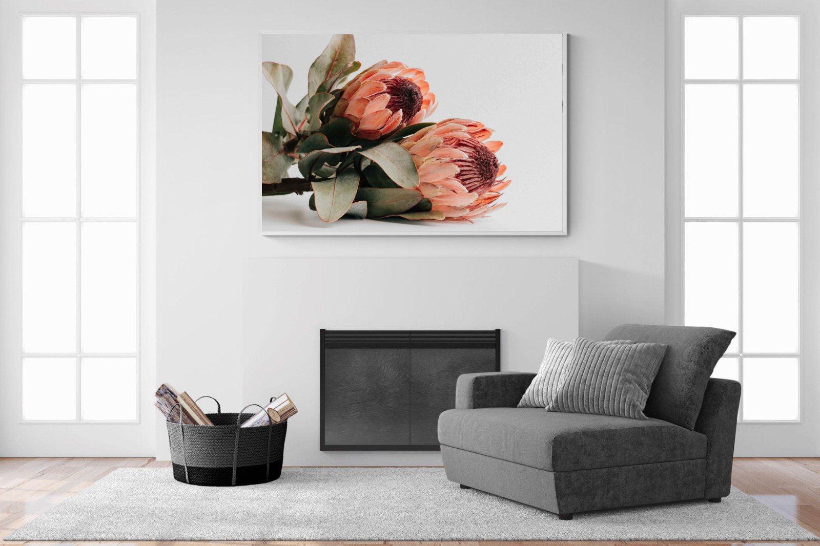 Peachy Proteas-Wall_Art-150 x 100cm-Mounted Canvas-White-Pixalot