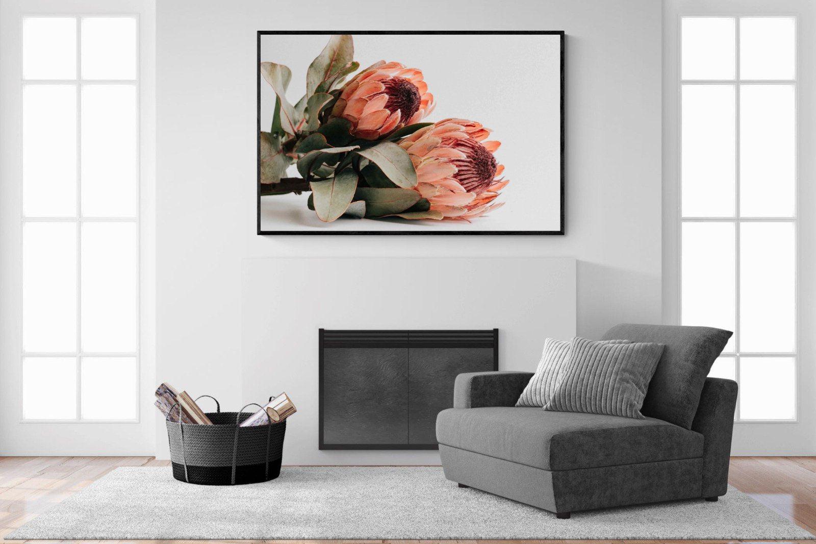 Peachy Proteas-Wall_Art-150 x 100cm-Mounted Canvas-Black-Pixalot