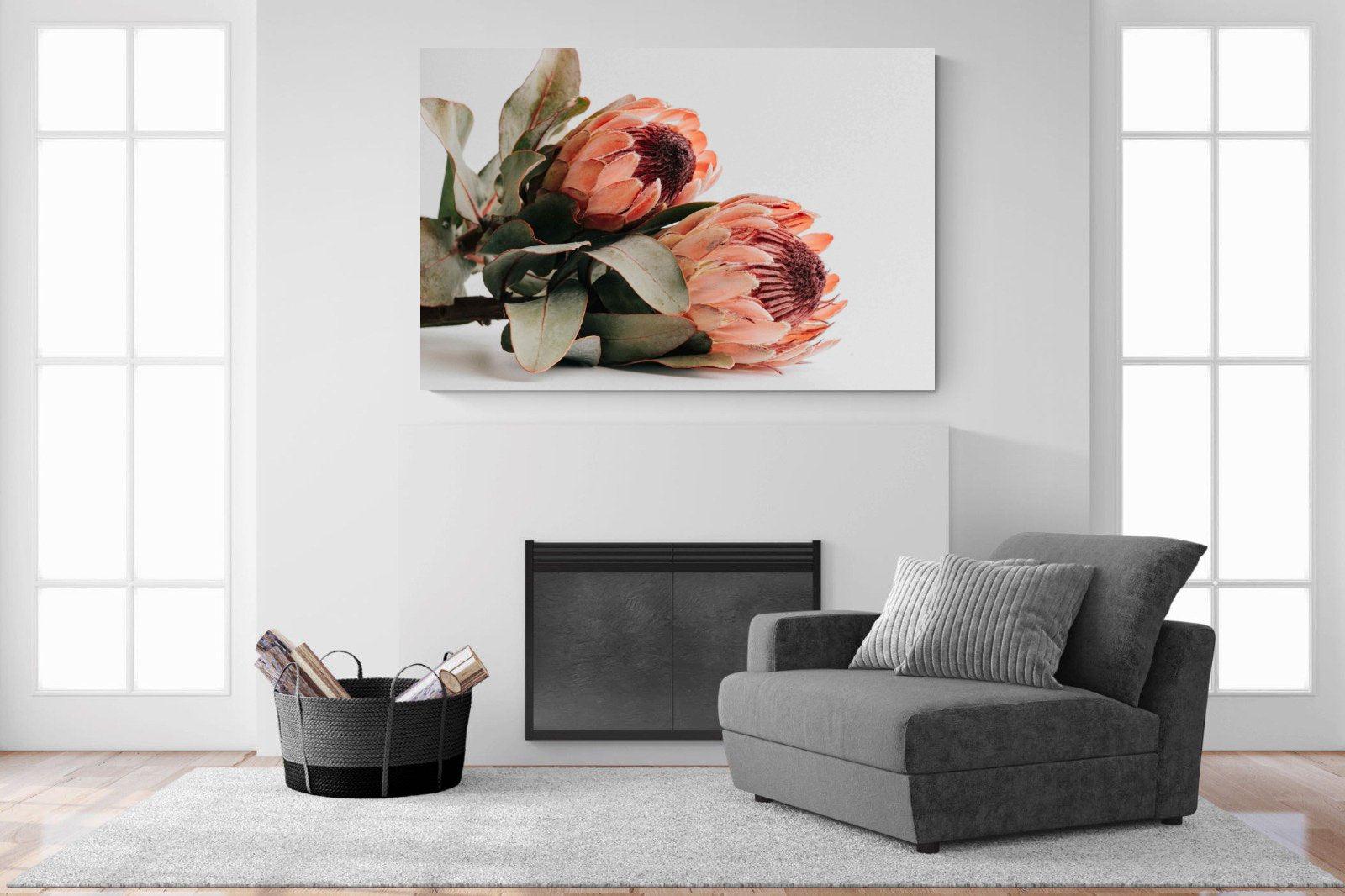 Peachy Proteas-Wall_Art-150 x 100cm-Mounted Canvas-No Frame-Pixalot