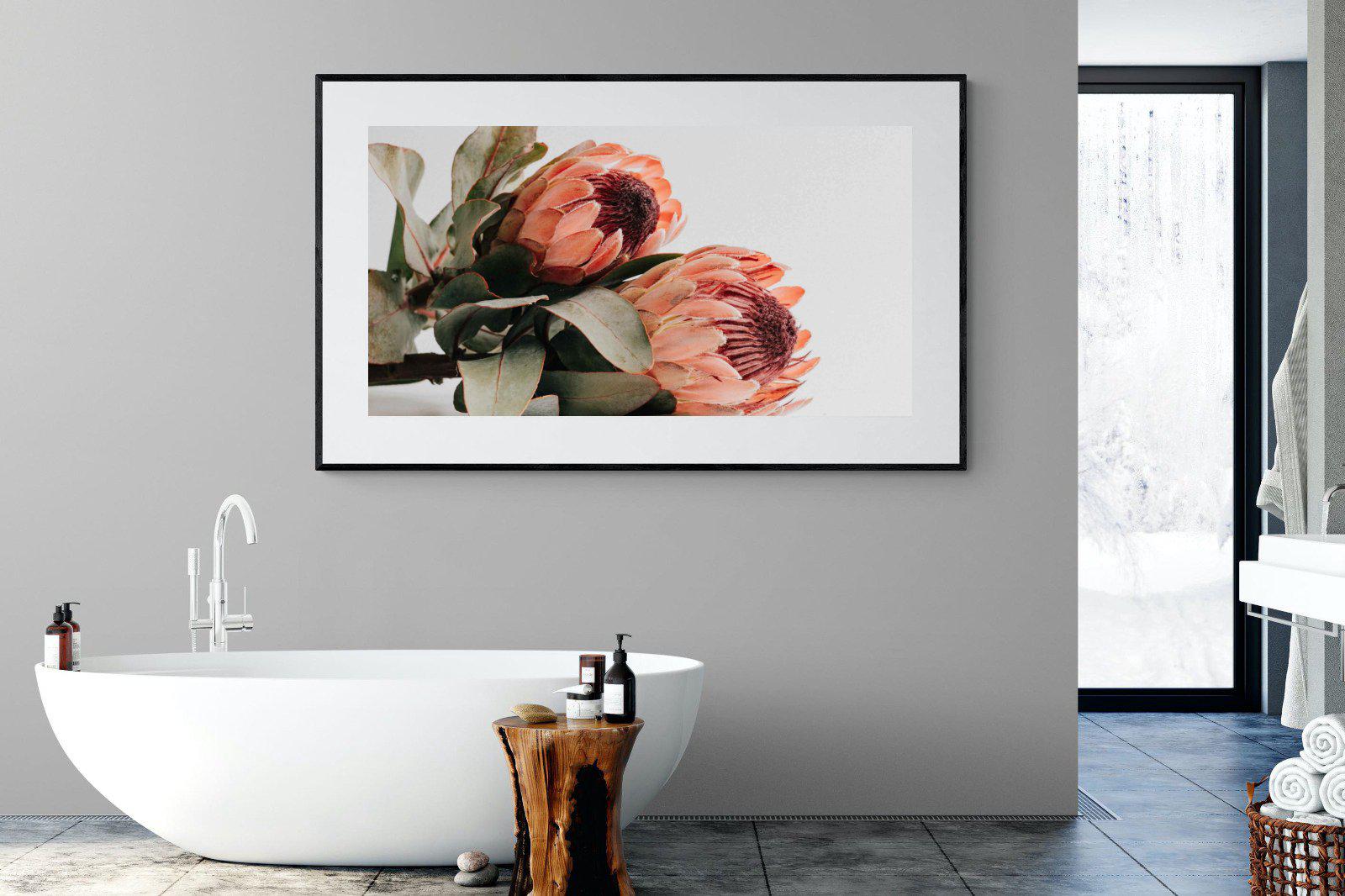 Peachy Proteas-Wall_Art-180 x 110cm-Framed Print-Black-Pixalot