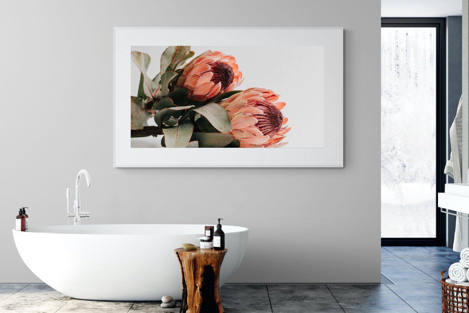 Peachy Proteas-Wall_Art-180 x 110cm-Framed Print-White-Pixalot