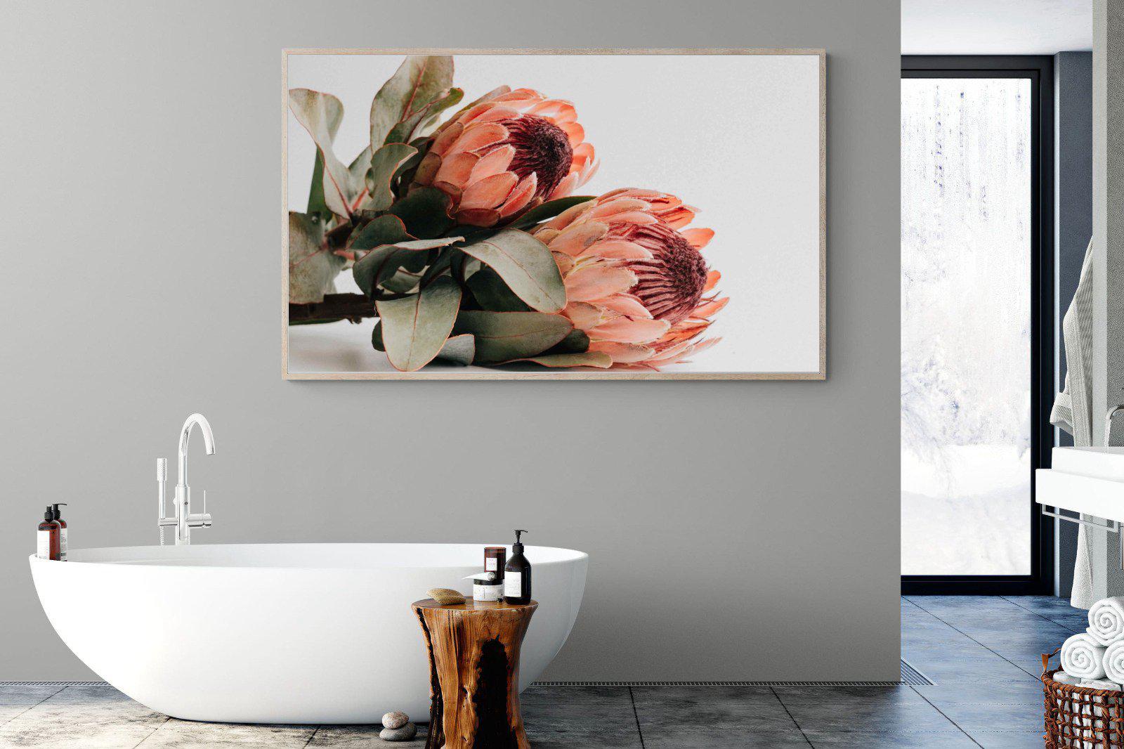 Peachy Proteas-Wall_Art-180 x 110cm-Mounted Canvas-Wood-Pixalot