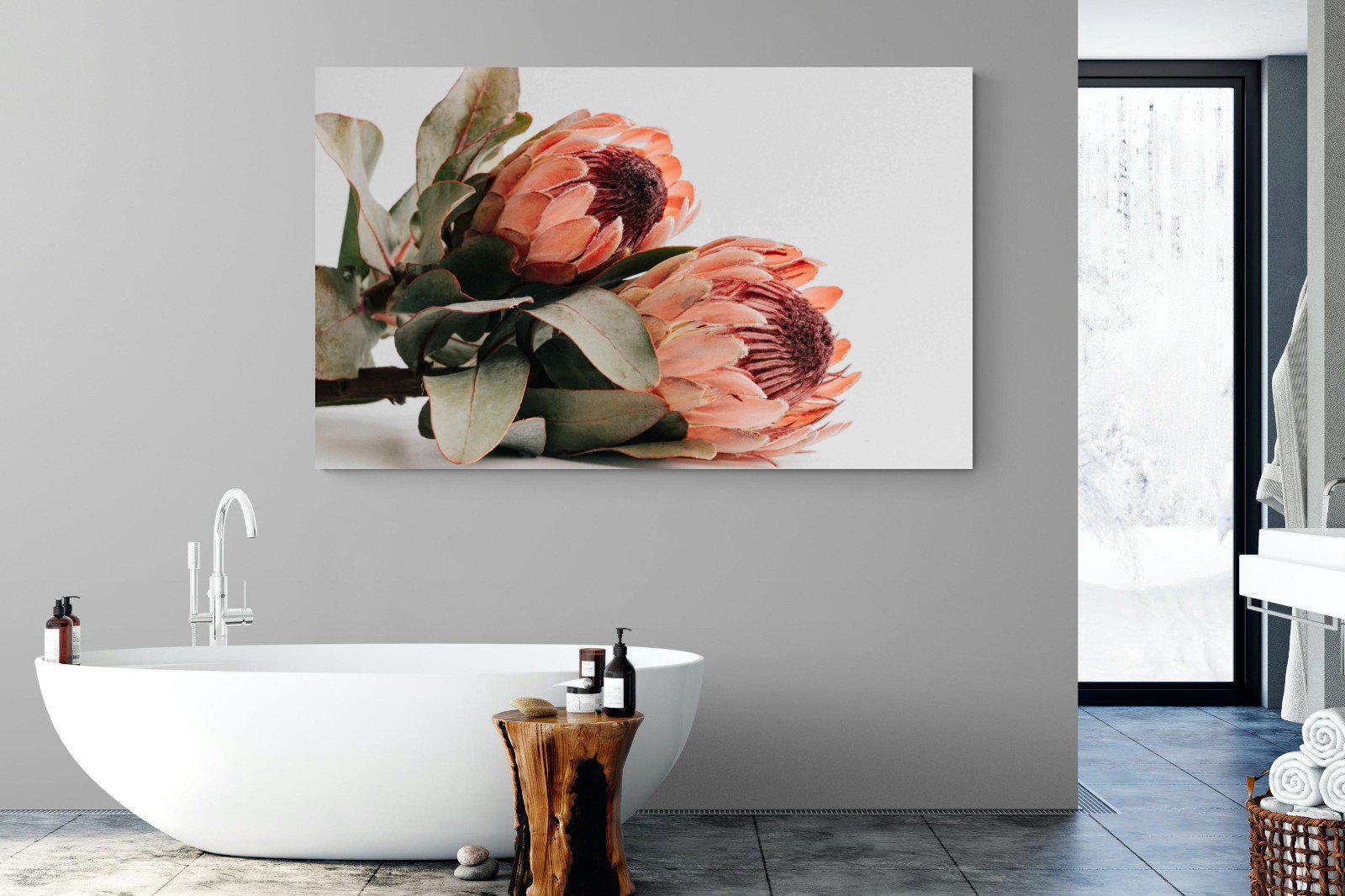 Peachy Proteas-Wall_Art-180 x 110cm-Mounted Canvas-No Frame-Pixalot