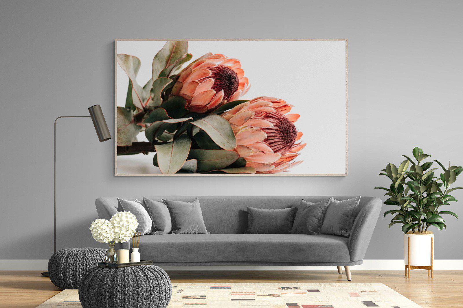 Peachy Proteas-Wall_Art-220 x 130cm-Mounted Canvas-Wood-Pixalot