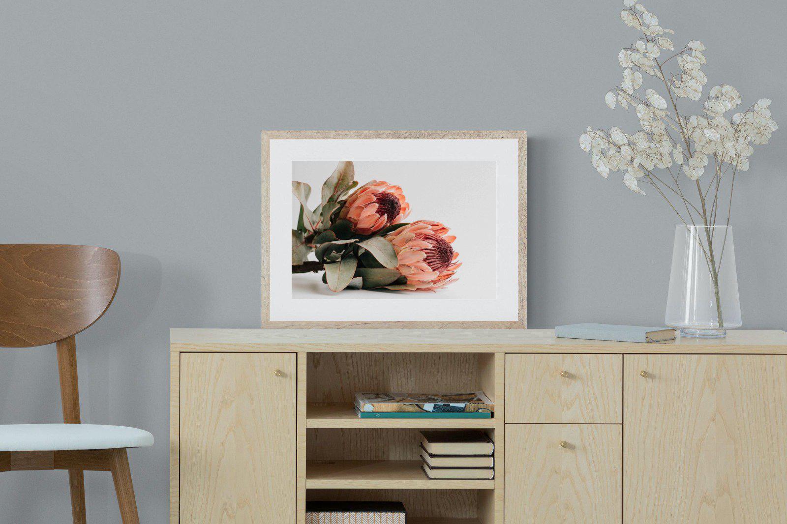 Peachy Proteas-Wall_Art-60 x 45cm-Framed Print-Wood-Pixalot