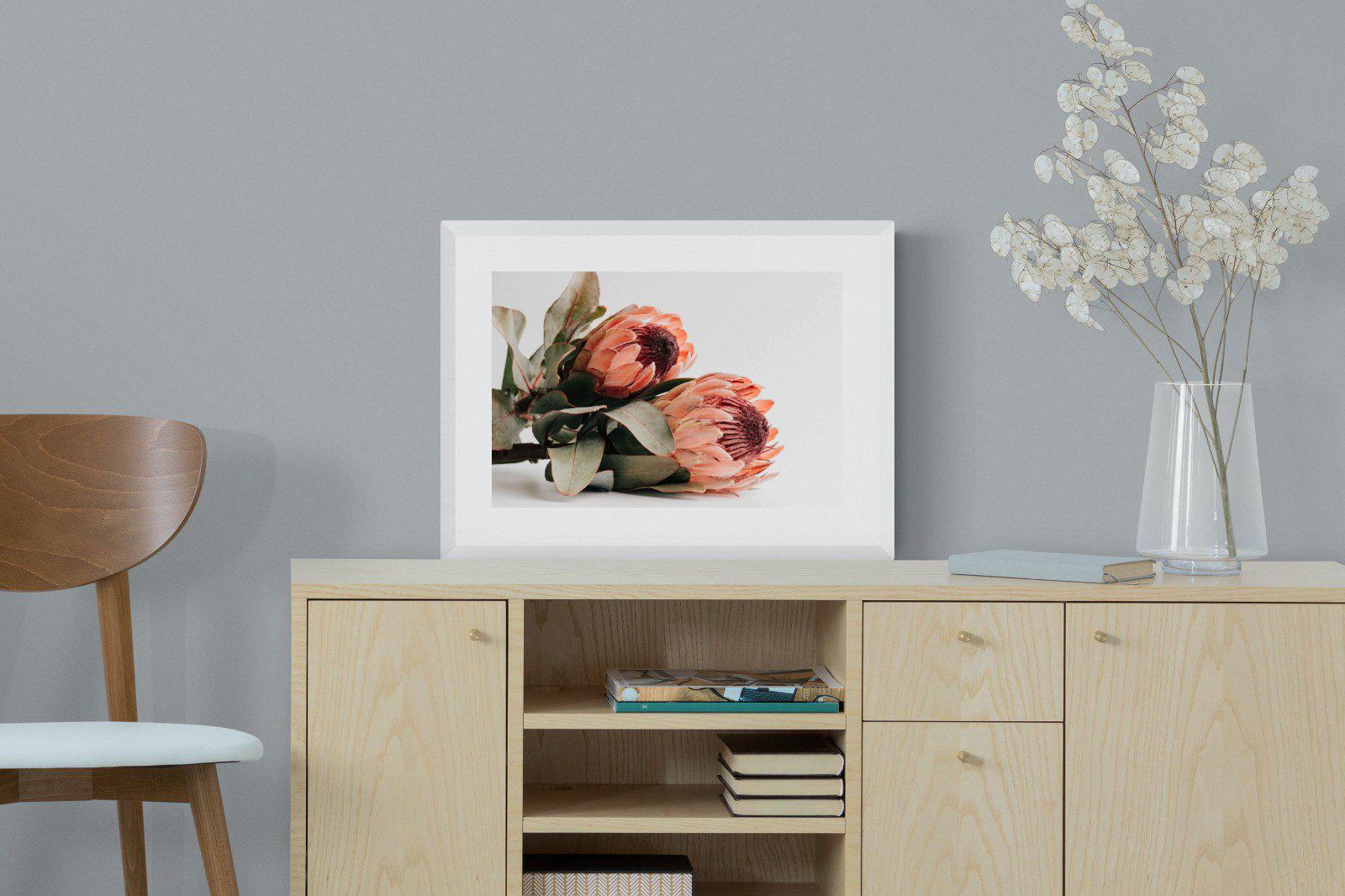 Peachy Proteas-Wall_Art-60 x 45cm-Framed Print-White-Pixalot
