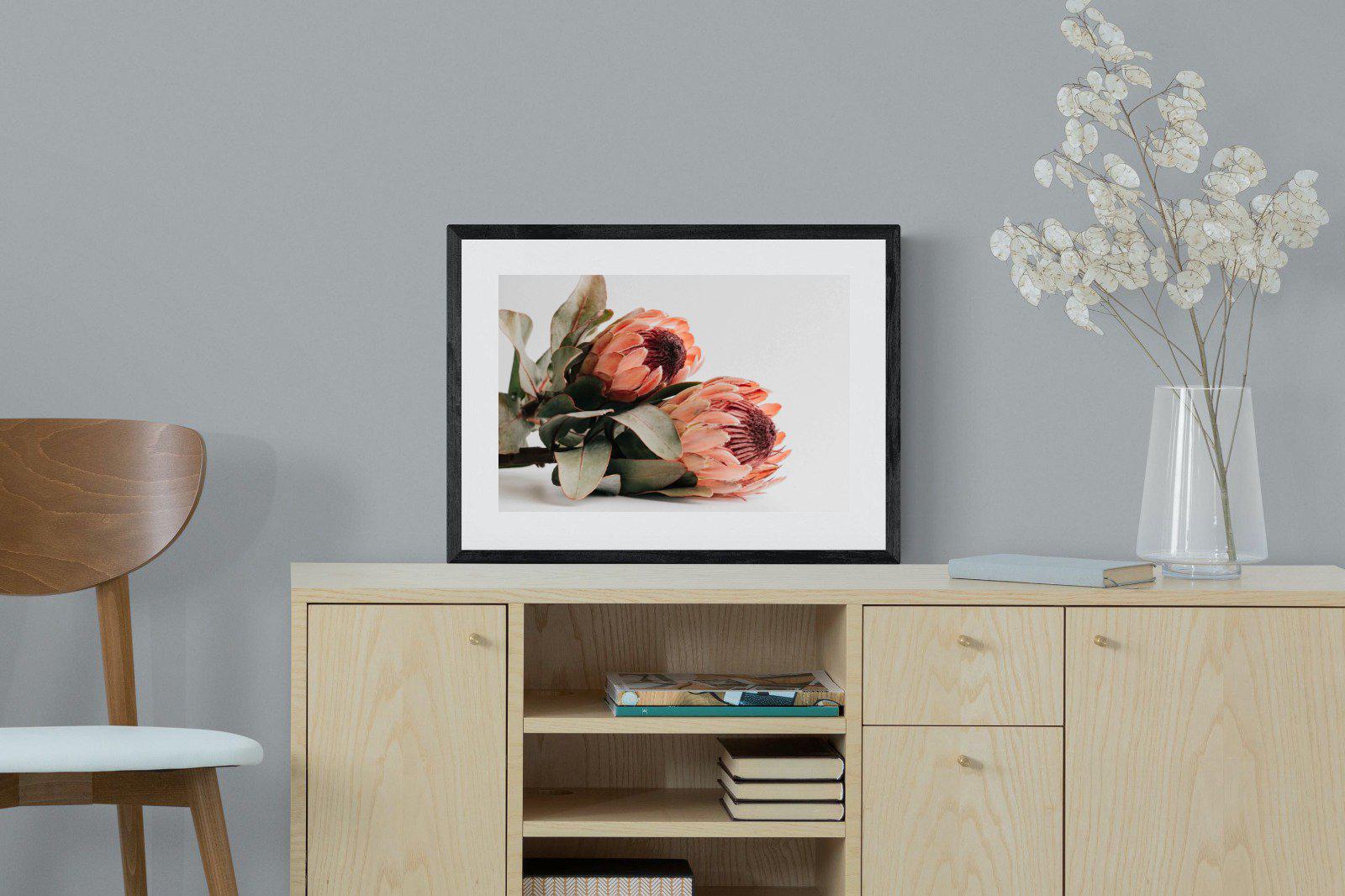 Peachy Proteas-Wall_Art-60 x 45cm-Framed Print-Black-Pixalot
