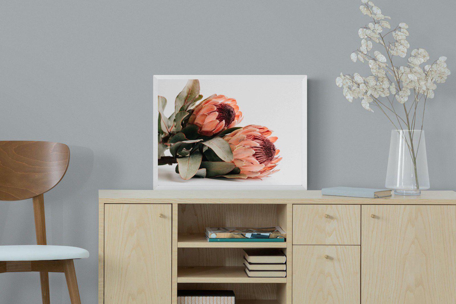 Peachy Proteas-Wall_Art-60 x 45cm-Mounted Canvas-White-Pixalot