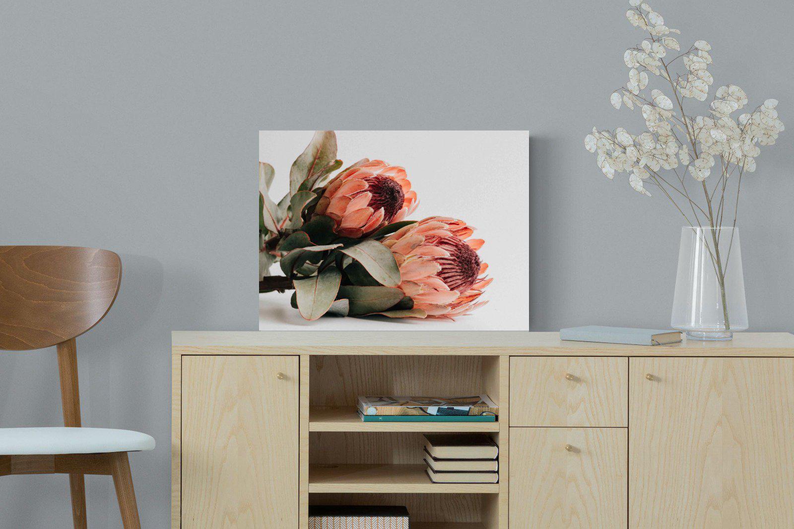 Peachy Proteas-Wall_Art-60 x 45cm-Mounted Canvas-No Frame-Pixalot