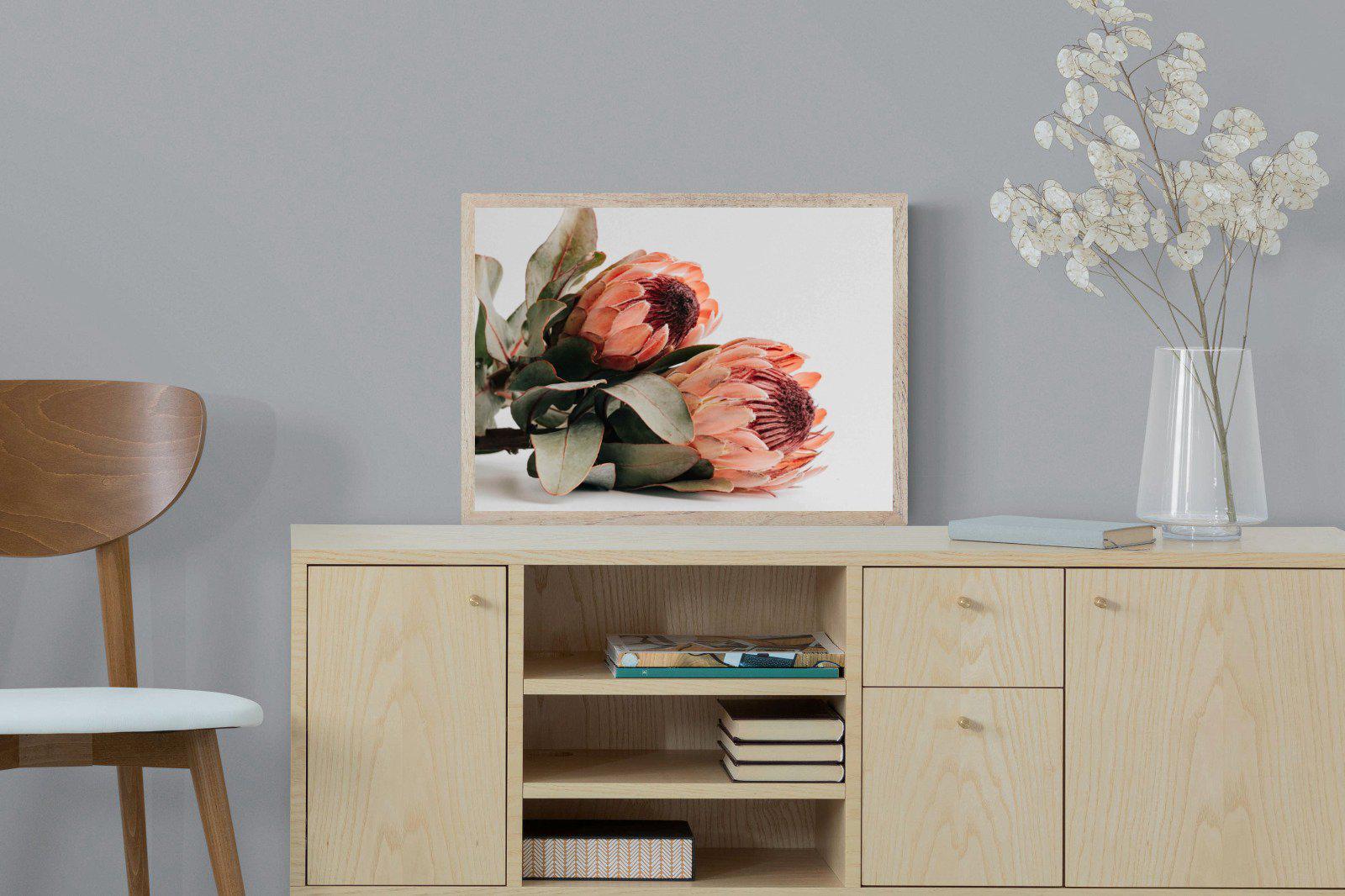 Peachy Proteas-Wall_Art-60 x 45cm-Mounted Canvas-Wood-Pixalot