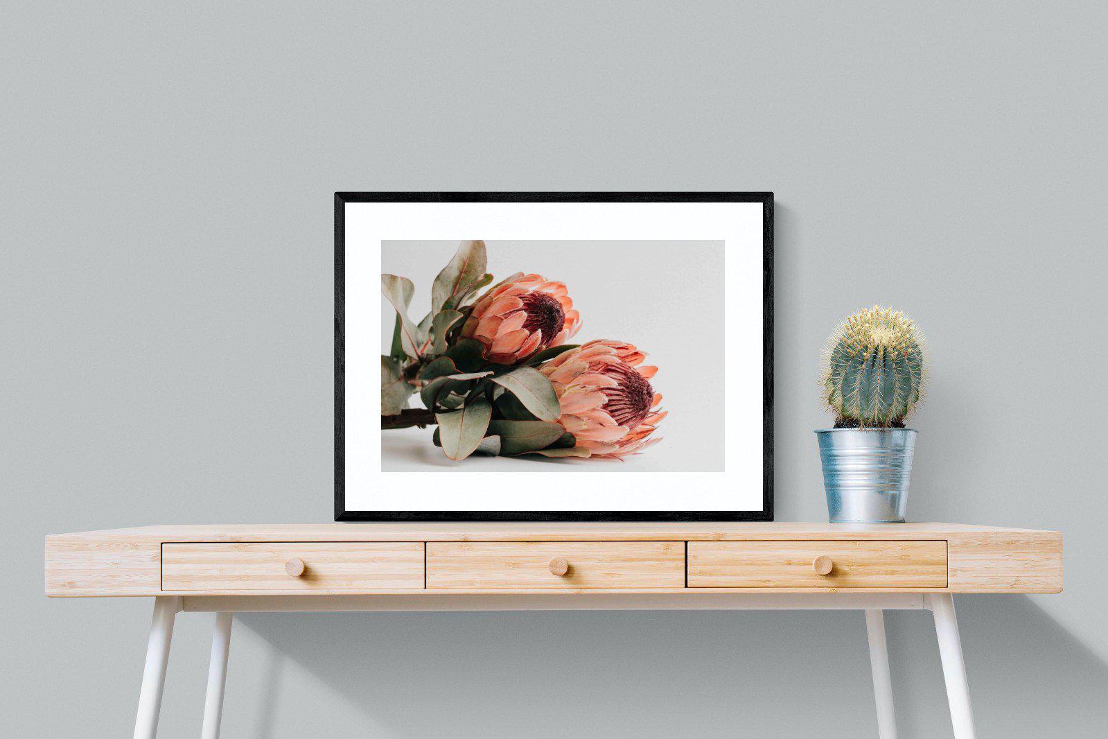 Peachy Proteas-Wall_Art-80 x 60cm-Framed Print-Black-Pixalot