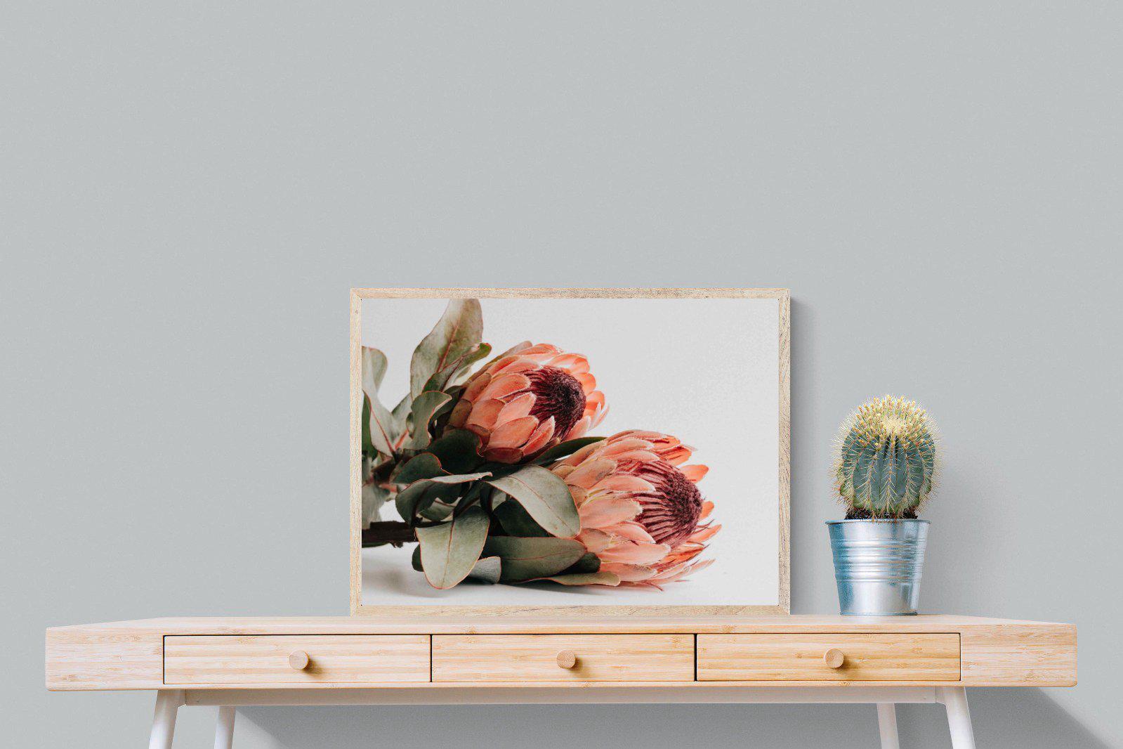 Peachy Proteas-Wall_Art-80 x 60cm-Mounted Canvas-Wood-Pixalot