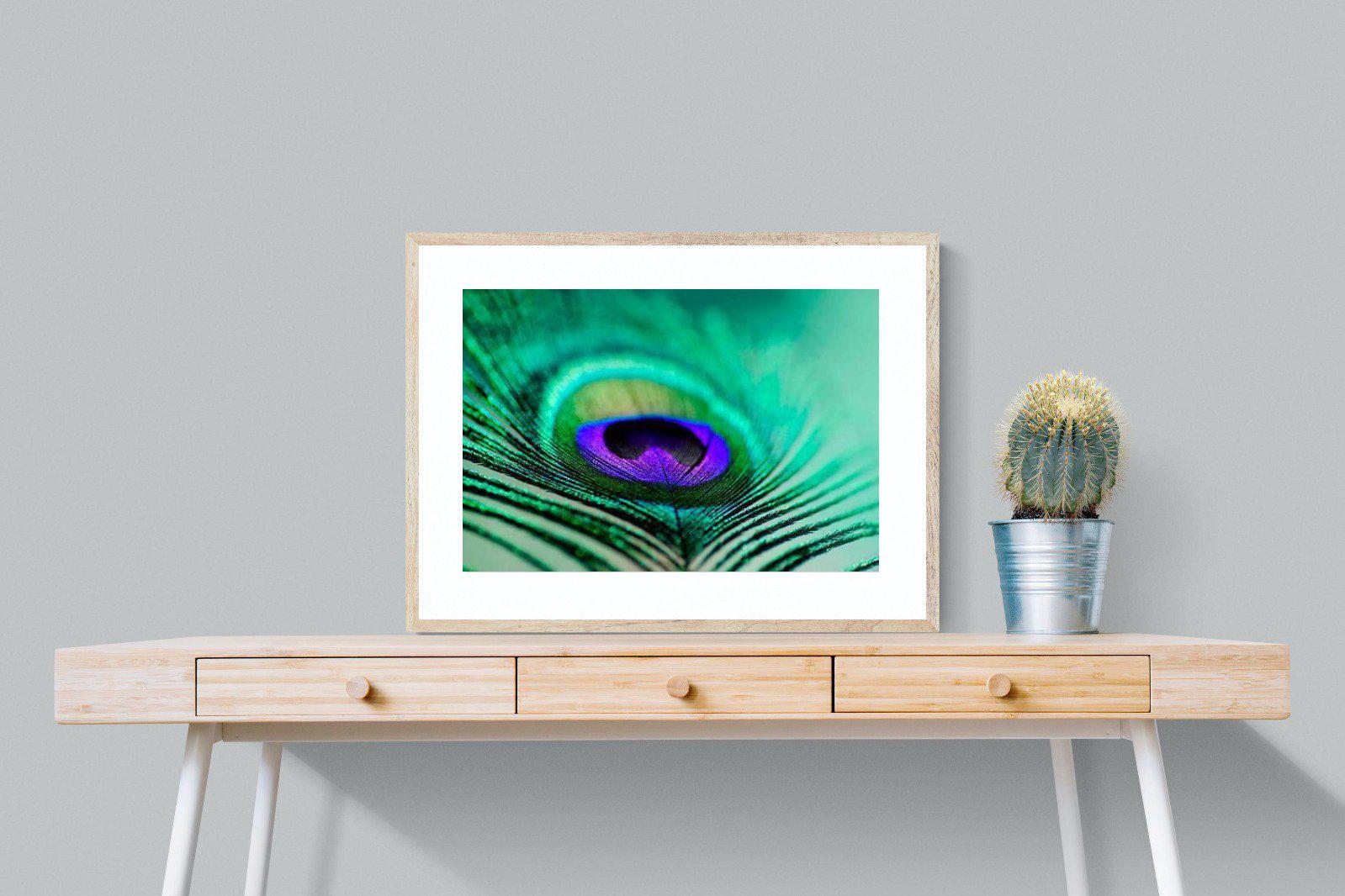 Peacock Feather-Wall_Art-80 x 60cm-Framed Print-Wood-Pixalot