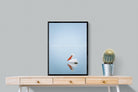 Pelican Blue-Wall_Art-60 x 80cm-Mounted Canvas-Black-Pixalot