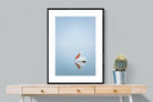 Pelican Blue-Wall_Art-75 x 100cm-Framed Print-Black-Pixalot