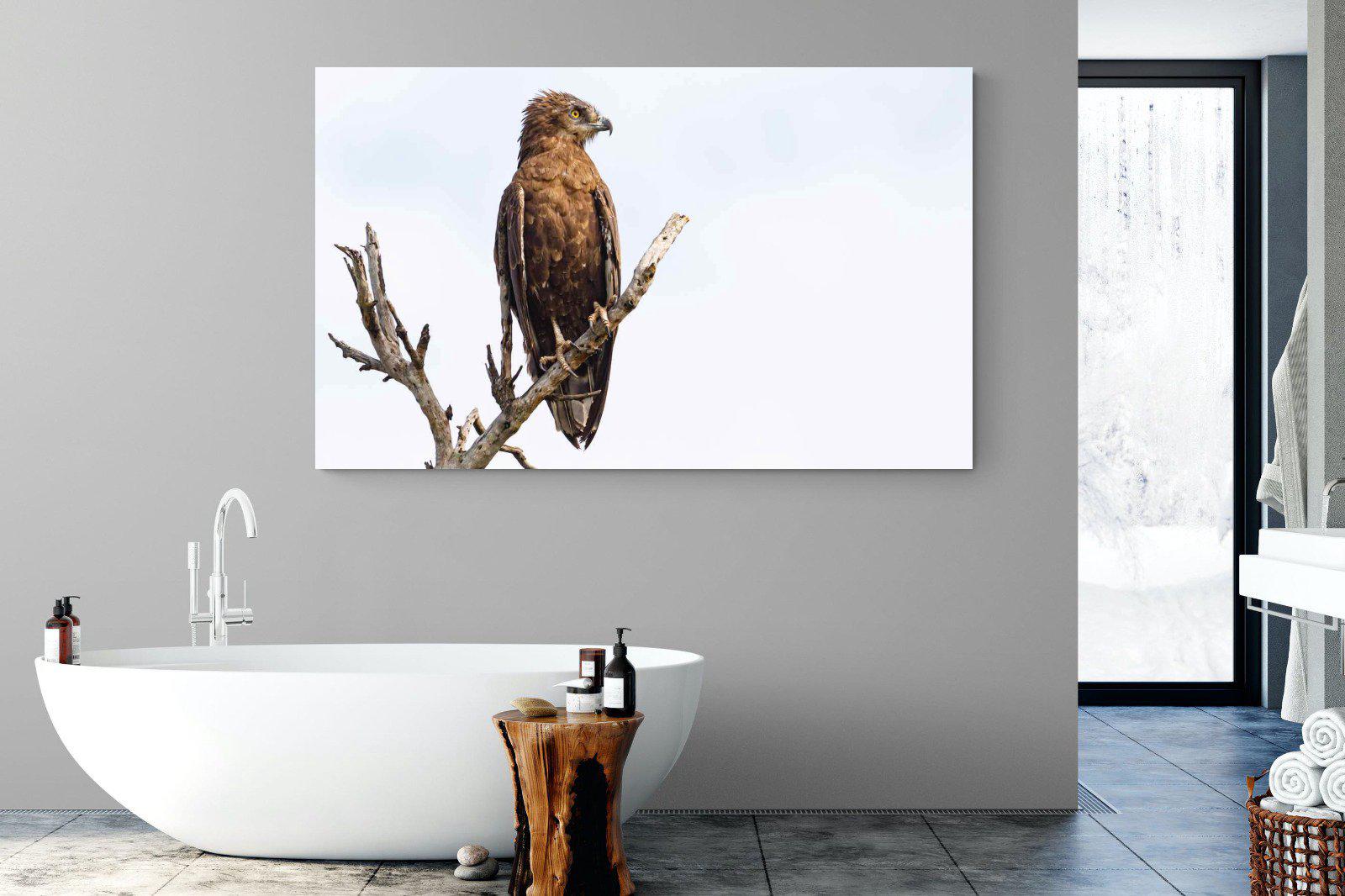 Perched-Wall_Art-180 x 110cm-Mounted Canvas-No Frame-Pixalot
