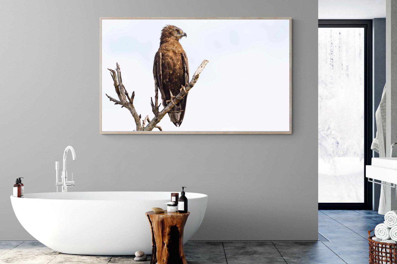 Perched-Wall_Art-180 x 110cm-Mounted Canvas-Wood-Pixalot