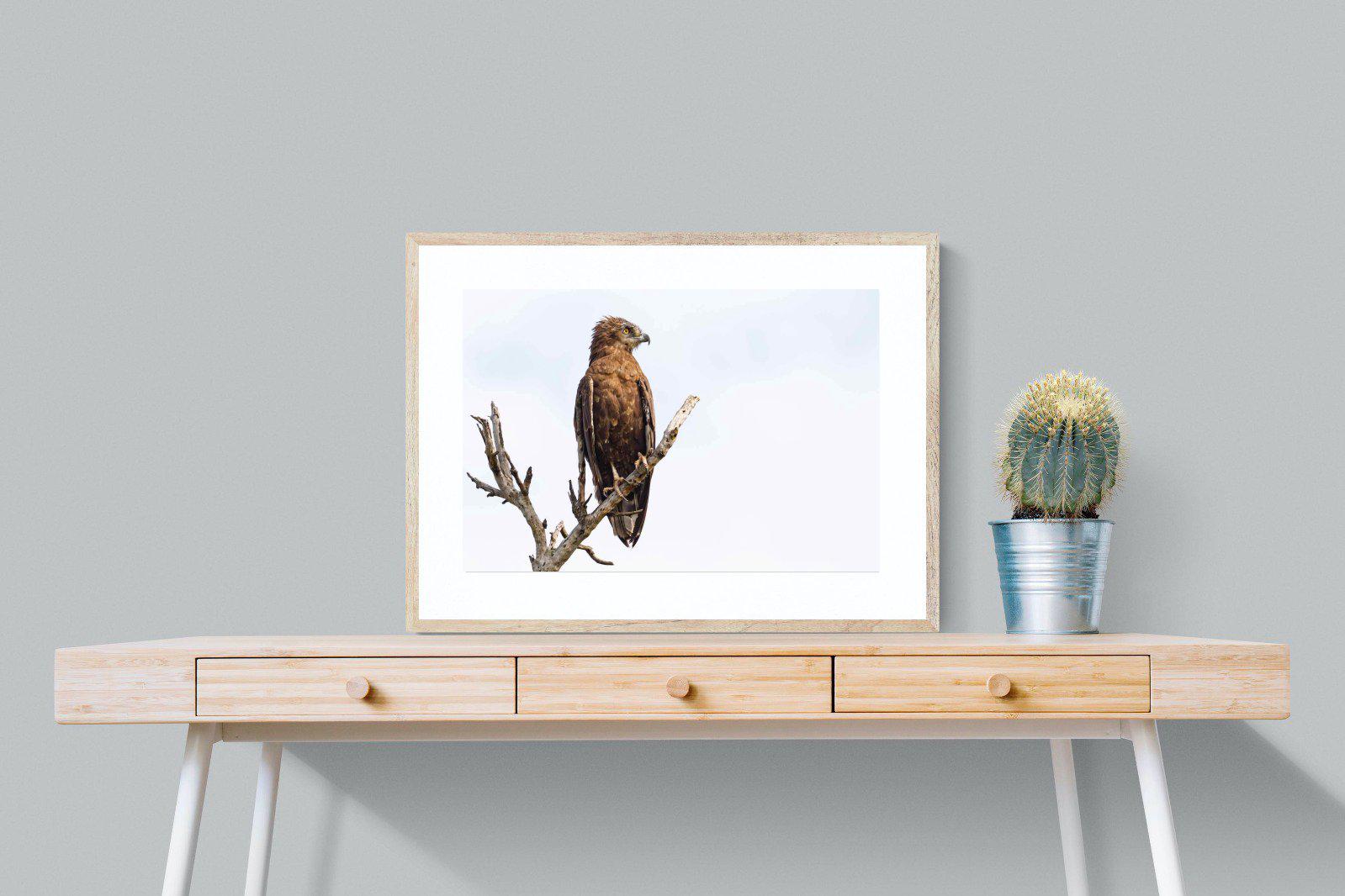 Perched-Wall_Art-80 x 60cm-Framed Print-Wood-Pixalot
