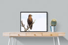 Perched-Wall_Art-80 x 60cm-Mounted Canvas-Black-Pixalot
