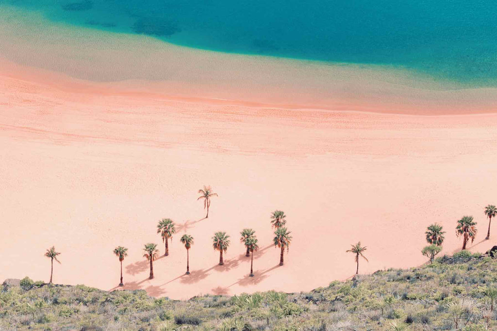 Pink Beach-Wall_Art-Pixalot