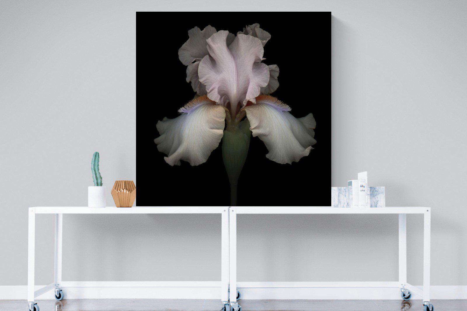 Pink Iris-Wall_Art-120 x 120cm-Mounted Canvas-No Frame-Pixalot
